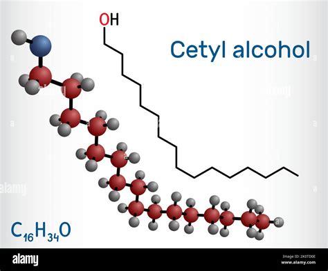  Cetyl Alcohol: Một Phụ Gia Thú Vị trong Sản Xuất Mỹ Phẩm và Thuốc Mẽo!