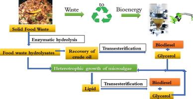 Durian Peel - A Sustainable Bioresource for Food Additives and Biofuels?