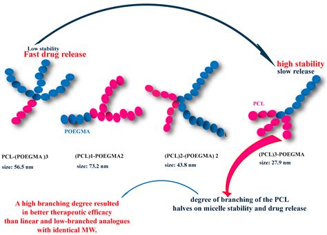  Polycaprolactone: A Multifaceted Champion in Controlled Drug Delivery and Regenerative Medicine!